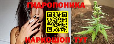 гашик Бугуруслан