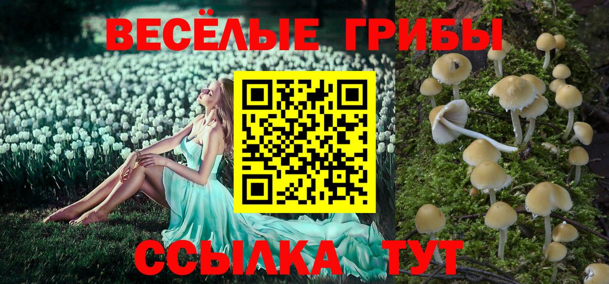 Псилоцибиновые грибы мицелий  Вход с VPN  наркотики  Курчатов 